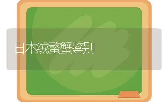 日本绒螯蟹鉴别 | 养殖技术大全