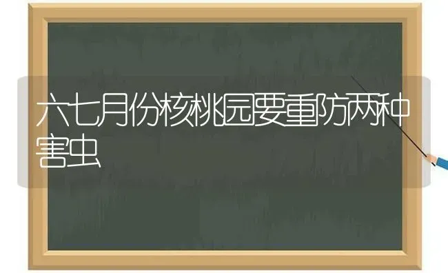 六七月份核桃园要重防两种害虫 | 养殖知识