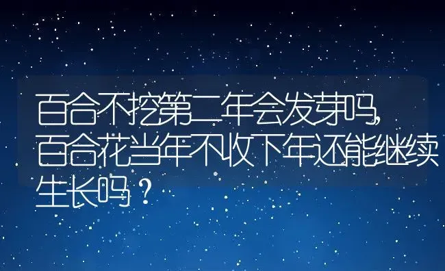 百合不挖第二年会发芽吗,百合花当年不收下年还能继续生长吗？ | 养殖学堂