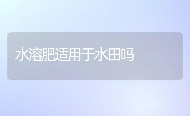 水溶肥适用于水田吗 | 养殖技术大全