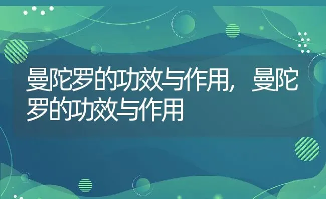 曼陀罗的功效与作用,曼陀罗的功效与作用 | 养殖学堂