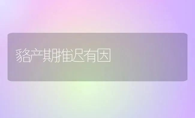 貉产期推迟有因 | 养殖知识