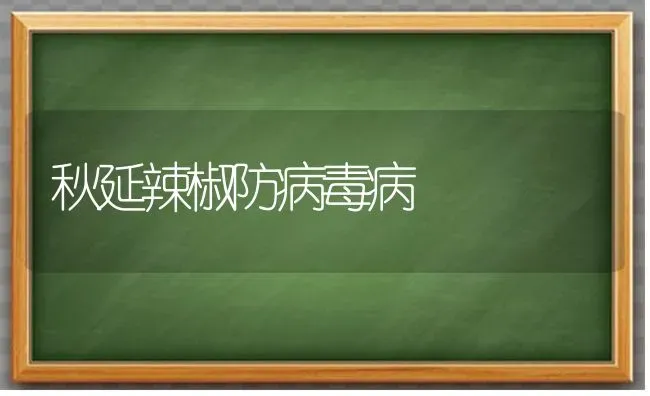 秋延辣椒防病毒病 | 养殖知识