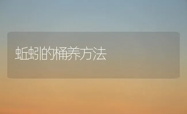 蚯蚓的桶养方法 | 养殖技术大全