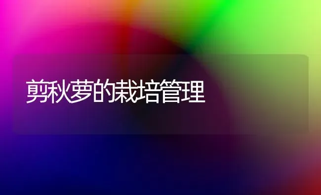 剪秋萝的栽培管理 | 养殖技术大全