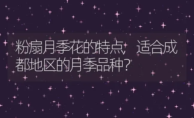 粉扇月季花的特点,适合成都地区的月季品种？ | 养殖科普