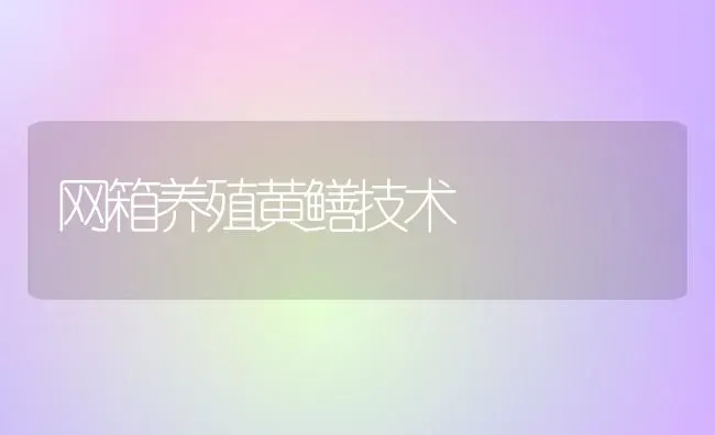 网箱养殖黄鳝技术 | 养殖知识