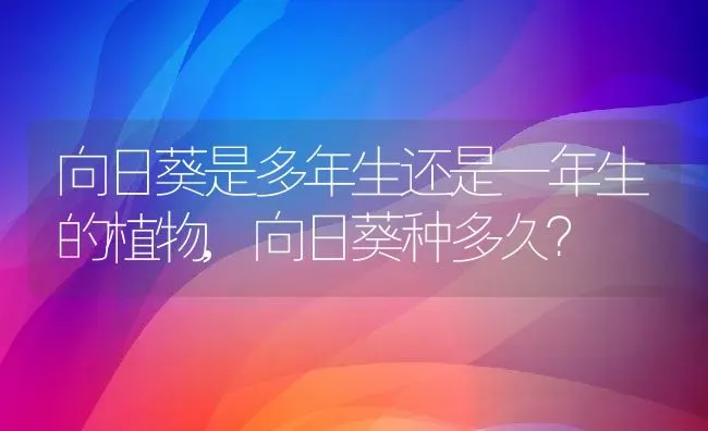 向日葵是多年生还是一年生的植物,向日葵种多久？ | 养殖科普