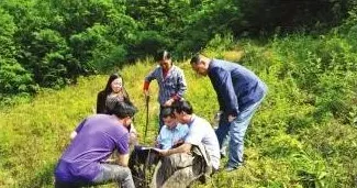 案例：林地权属发生争议怎么办？等 | 生活常识
