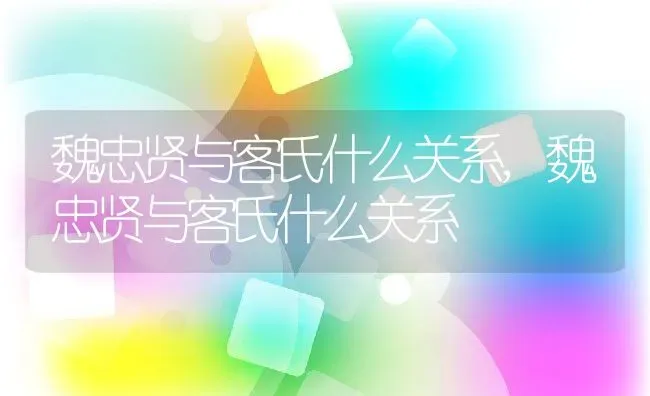 魏忠贤与客氏什么关系,魏忠贤与客氏什么关系 | 养殖科普