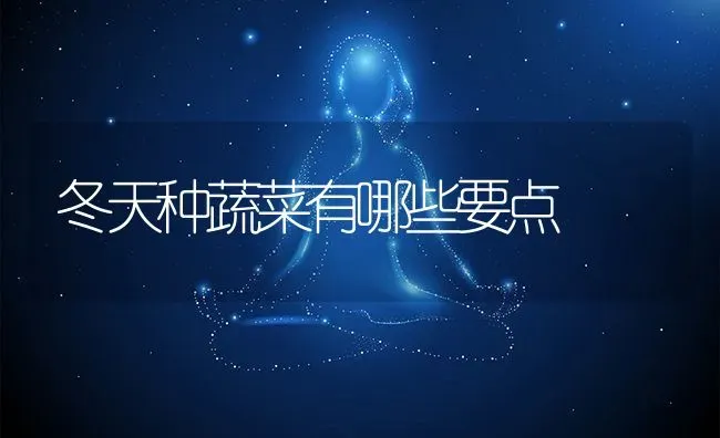 冬天种蔬菜有哪些要点 | 养殖学堂