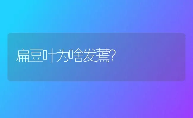 扁豆叶为啥发蔫? | 养殖知识