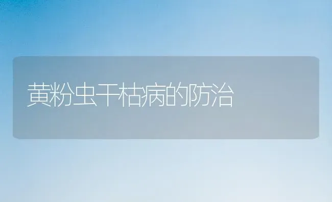 黄粉虫干枯病的防治 | 养殖知识