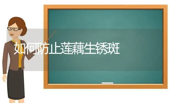 如何防止莲藕生锈斑 | 养殖知识