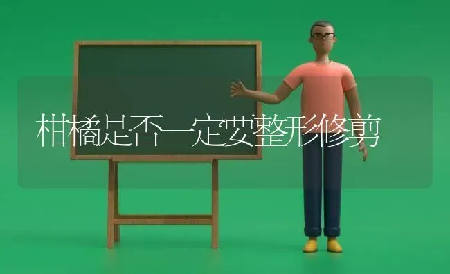 柑橘是否一定要整形修剪 | 养殖知识