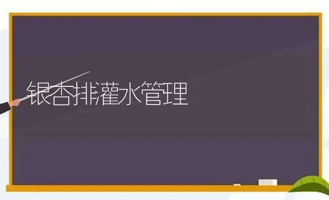 银杏排灌水管理 | 养殖知识