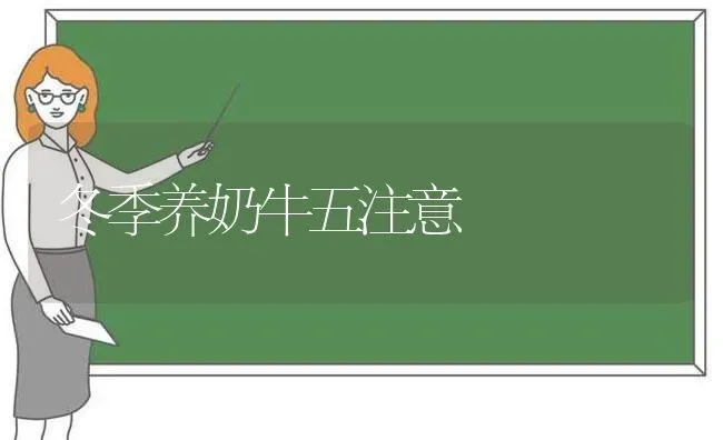 冬季养奶牛五注意 | 养殖知识