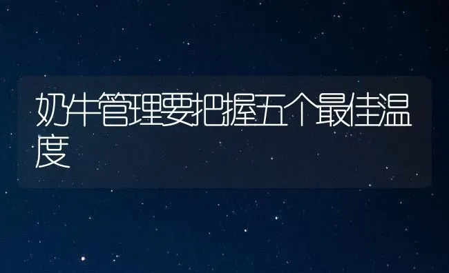 奶牛管理要把握五个最佳温度 | 养殖技术大全