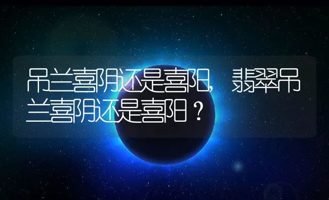 吊兰喜阴还是喜阳,翡翠吊兰喜阴还是喜阳？ | 养殖科普