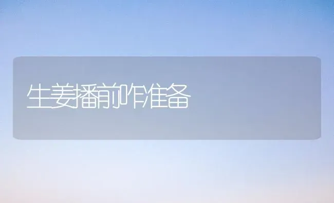 生姜播前咋准备 | 养殖技术大全