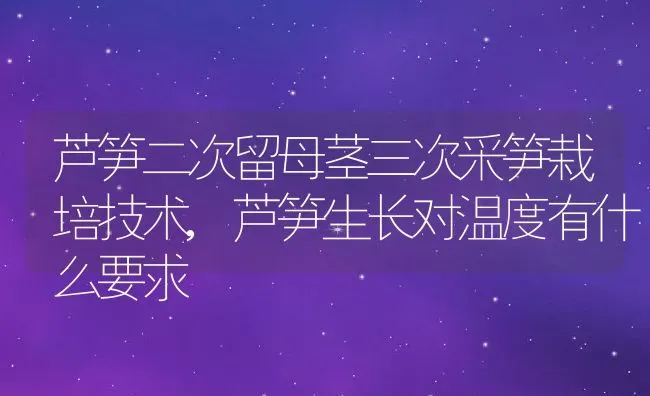 芦笋二次留母茎三次采笋栽培技术,芦笋生长对温度有什么要求 | 养殖学堂