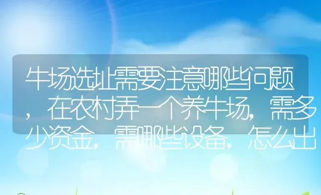 牛场选址需要注意哪些问题,在农村弄一个养牛场，需多少资金，需哪些设备，怎么出售 | 养殖学堂