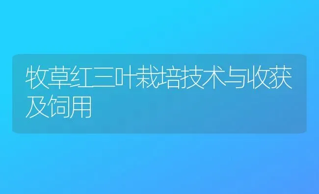 牧草红三叶栽培技术与收获及饲用 | 养殖知识