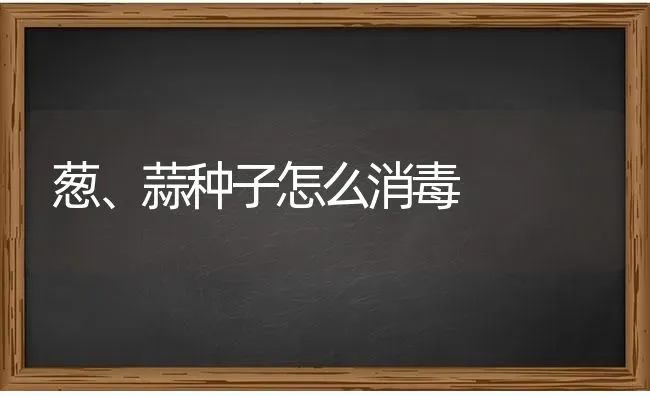 葱、蒜种子怎么消毒 | 养殖技术大全