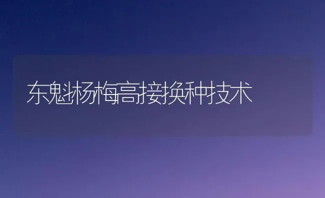 东魁杨梅高接换种技术 | 养殖技术大全