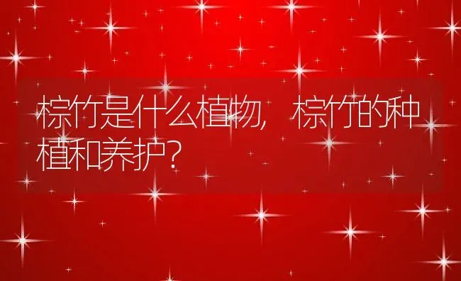 桑葚是水果吗,桑葚是南方还是北方？ | 养殖科普