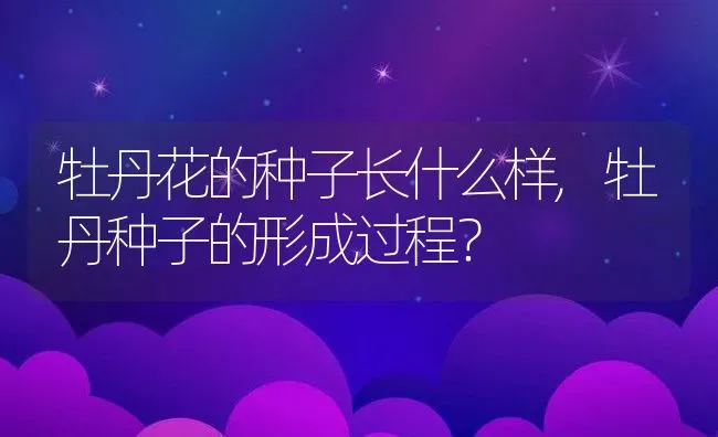 牡丹花的种子长什么样,牡丹种子的形成过程？ | 养殖学堂