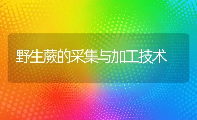 野生蕨的采集与加工技术 | 养殖技术大全