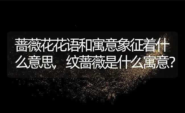 蔷薇花花语和寓意象征着什么意思,纹蔷薇是什么寓意？ | 养殖科普