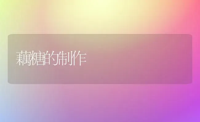 藕糖的制作 | 养殖技术大全