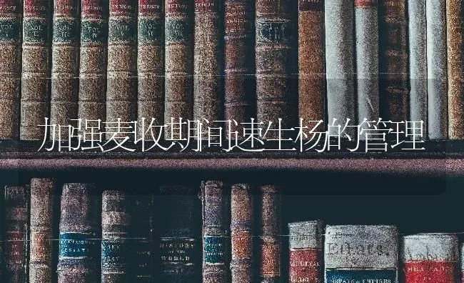 加强麦收期间速生杨的管理 | 养殖知识