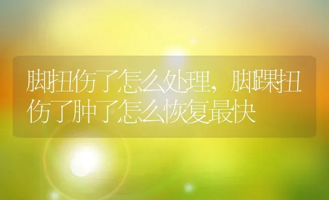 脚扭伤了怎么处理,脚踝扭伤了肿了怎么恢复最快 | 养殖资料