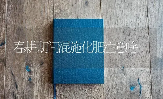 春耕期间混施化肥注意啥 | 养殖知识