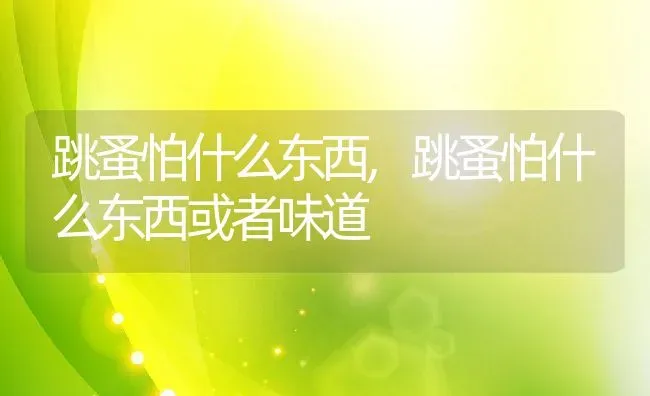 跳蚤怕什么东西,跳蚤怕什么东西或者味道 | 养殖资料
