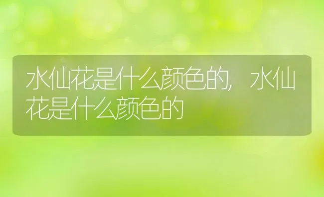 水仙花是什么颜色的,水仙花是什么颜色的 | 养殖科普