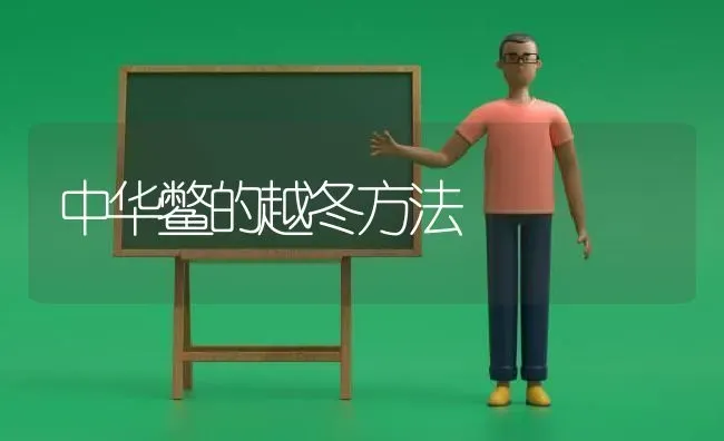 中华鳖的越冬方法 | 养殖知识