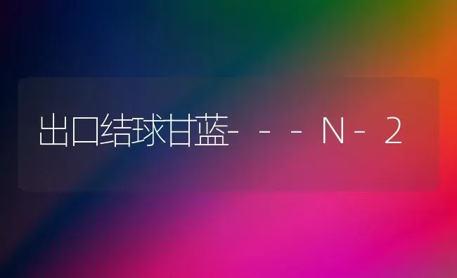 出口结球甘蓝---N-2 | 养殖技术大全