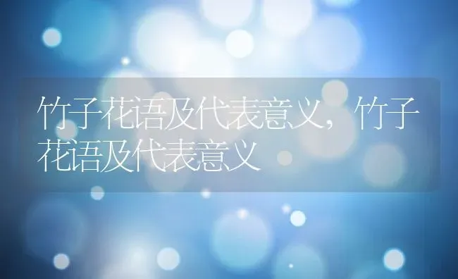 竹子花语及代表意义,竹子花语及代表意义 | 养殖科普