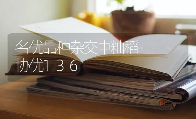 名优品种杂交中籼稻---协优136 | 养殖技术大全