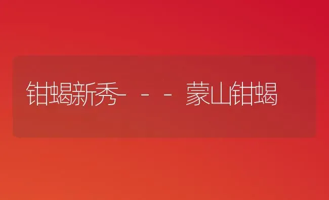 钳蝎新秀---蒙山钳蝎 | 养殖技术大全