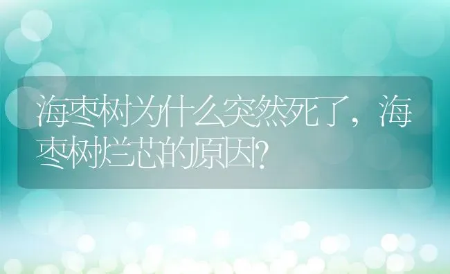 海枣树为什么突然死了,海枣树烂芯的原因？ | 养殖科普