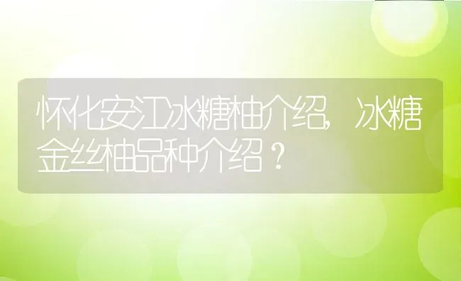 怀化安江冰糖柚介绍,冰糖金丝柚品种介绍？ | 养殖科普