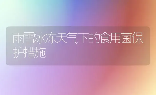 雨雪冰冻天气下的食用菌保护措施 | 养殖知识