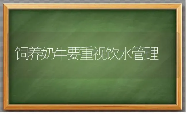 饲养奶牛要重视饮水管理 | 养殖知识