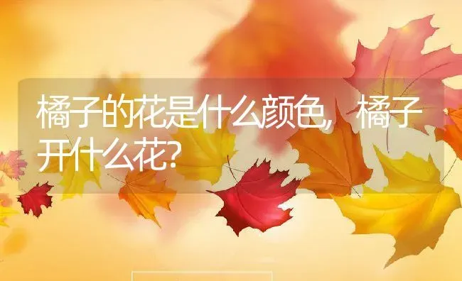 橘子的花是什么颜色,橘子开什么花？ | 养殖学堂
