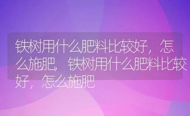 铁树用什么肥料比较好，怎么施肥,铁树用什么肥料比较好，怎么施肥 | 养殖科普